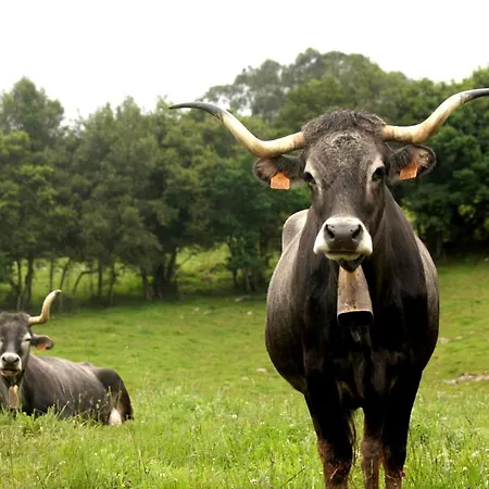 El Cruce De Moraton 아파트 *