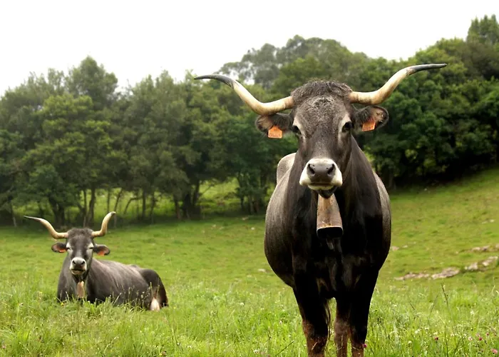 El Cruce De Moraton Appartement *